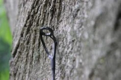 Ashima FFX-P 10FT 3,00 Lb 8 Ashima FFX-P 10FT 3,00 Lb -Fox Winkel Extreme Tackle Ashima FFX S 2 1