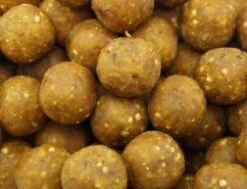 Martin SB 20mm Boilies Instant 8 2,5kg -Fox Winkel Martin SB Xtra Range Instant 8 Boilies 20mm 1 1