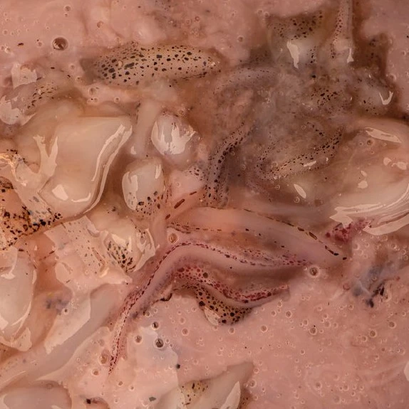 Nash Salted Squid 500ml 4 Nash Salted Squid 500ml - Afbeelding 2