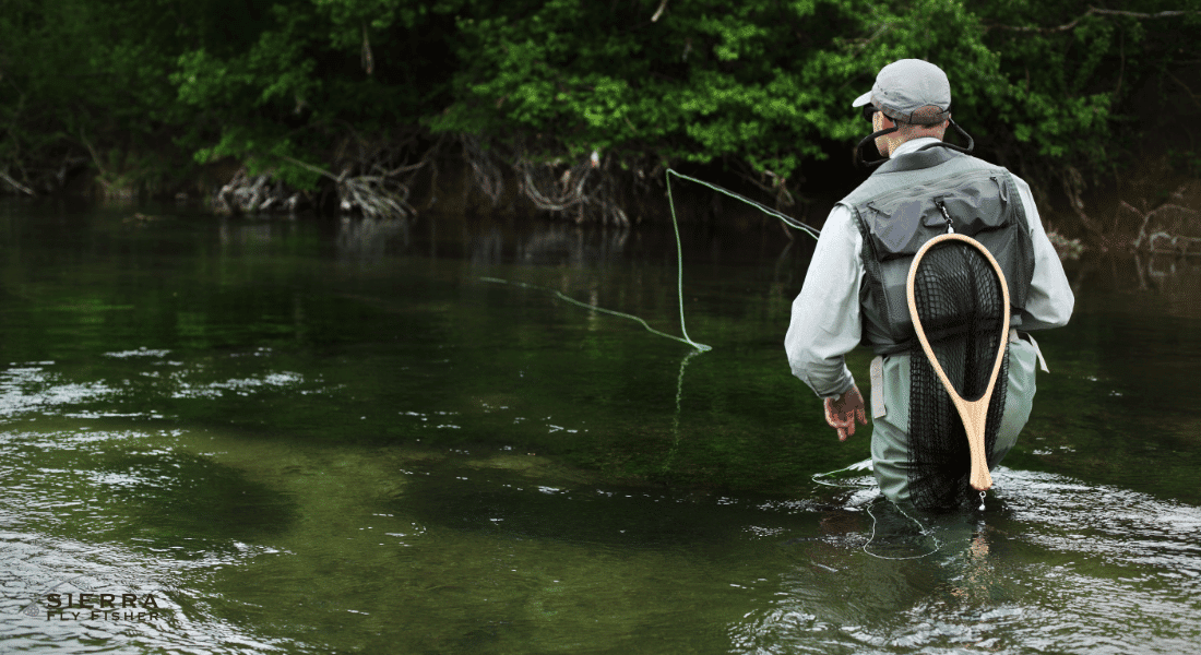 Fox Winkel -Fox Winkel SFF featured